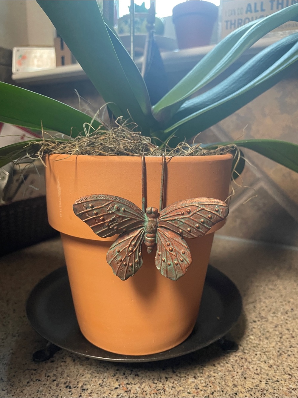 Butterfly Pot Hugger Ornament